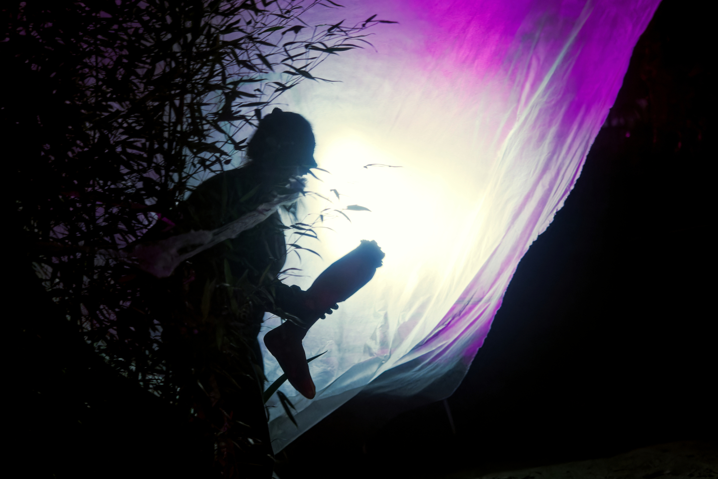 2024 10 26 Halloween Blote Voeten Park99 Dx O